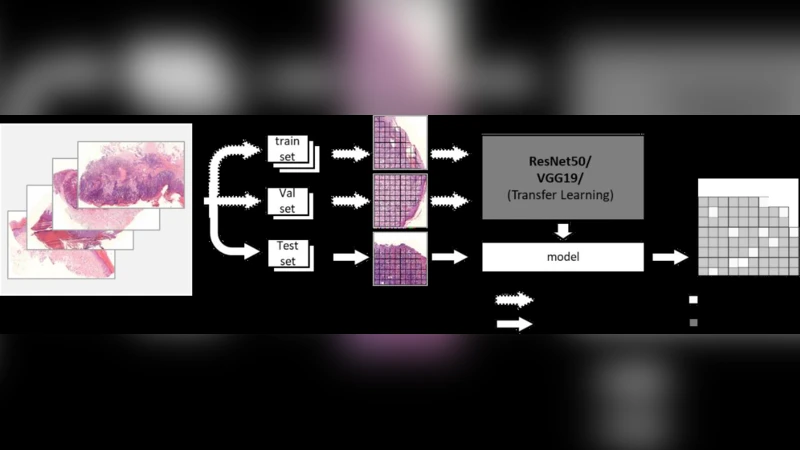 피부암 조직 슬라이드의 해석 가능한 딥러닝 분류
