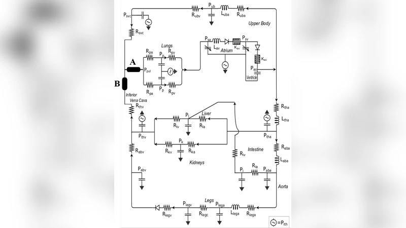상업용 심실 보조장치의 Fontan 폐순환 보조 위험과 이점