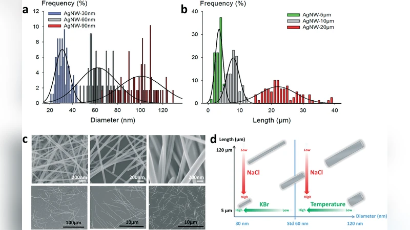 안전 설계 기반 은 나노와이어 투명 전극 제작 및 독성 평가