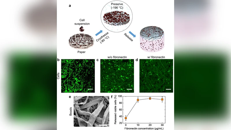 종이 기반 세포 동결 보존 간편 저비용 고효율 솔루션