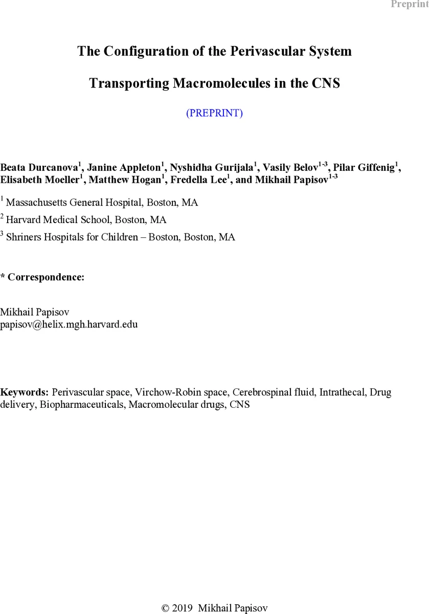 뇌척수액에서 대분자 운반하는 주위혈관계 구성