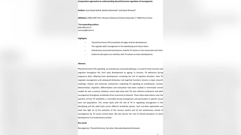 갑상선 호르몬이 조절하는 신경생성: 진화·발달 통합 고찰