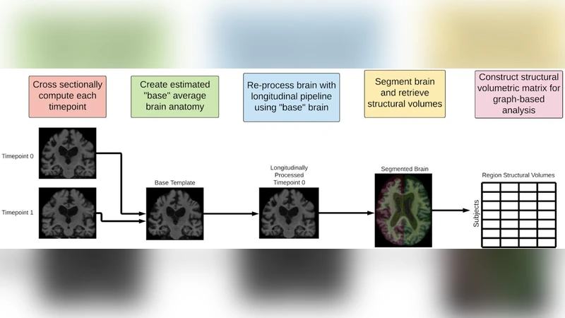 뇌 영상에서 그래프 분석까지 알츠하이머 환자군 구조 변화 연구