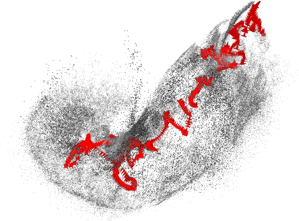 격자 점들의 껍질 벗기기와 볼록층 수