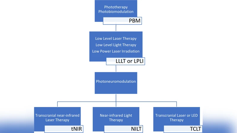 빛으로 기억을 지키다 알츠하이머 광생물조절 치료 최신 리뷰