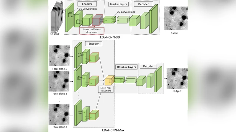 딥러닝 기반 확장 심도 영상으로 말라리아 진단 효율 극대화