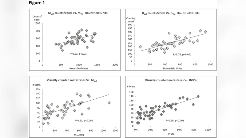 자동화된 골 전이 부하 정의: 전립선암 SPECT/CT 3D 분석