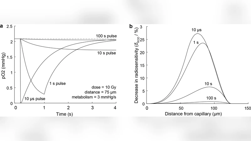 플래시 방사선의 산소 고갈 메커니즘과 저산소성 줄기세포 보호 모델