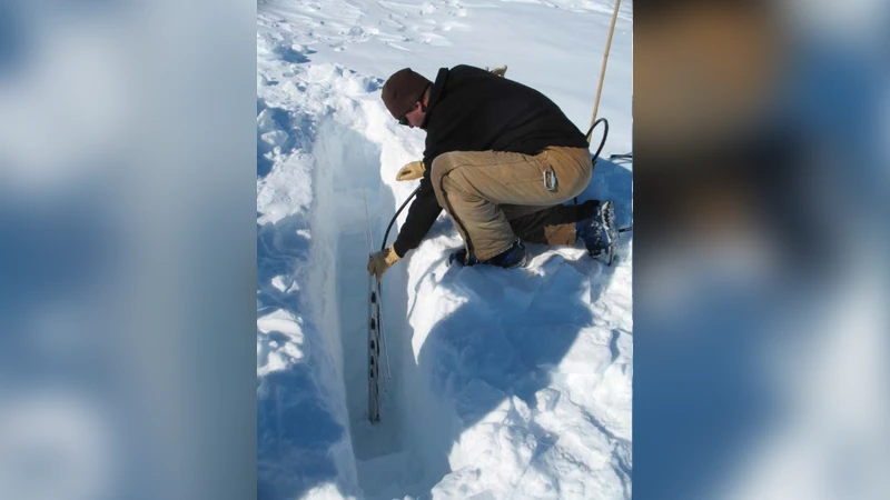 평면 그래프에서 두 상태 스핀 시스템의 분할 함수 근사화