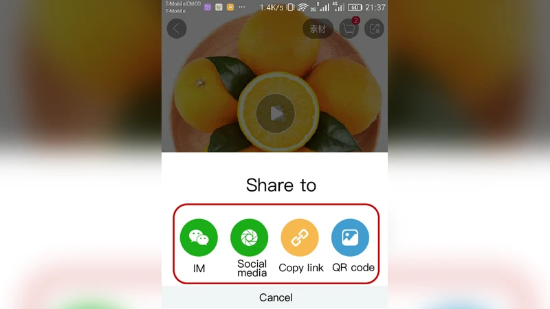 친구가 판매자가 될 때 베이디안 소셜 커머스의 구조와 성장 메커니즘