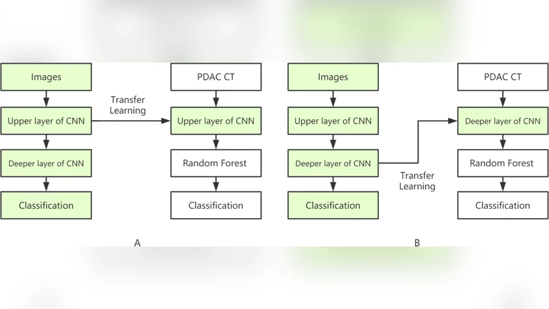 재수술 가능한 췌장관 선암의 예후 예측을 위한 전이 학습 기반 특징의 가치