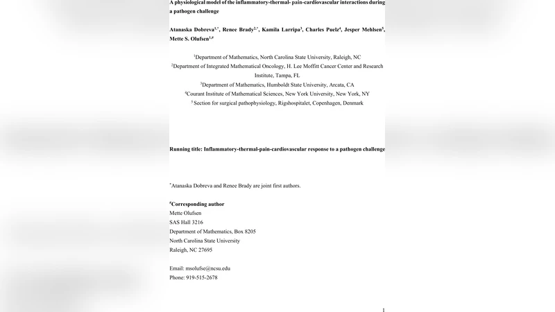 염증·열·통증·심혈관 상호작용의 생리학적 모델링