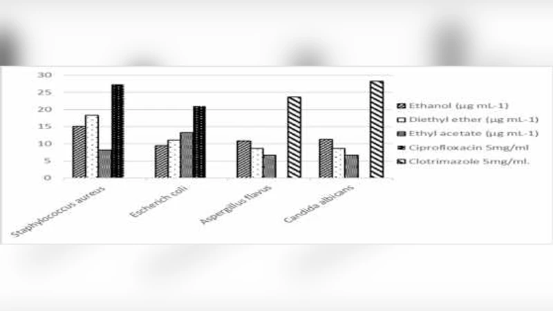 바코파 모니에리 추출물의 항균·항진균 효과 분석