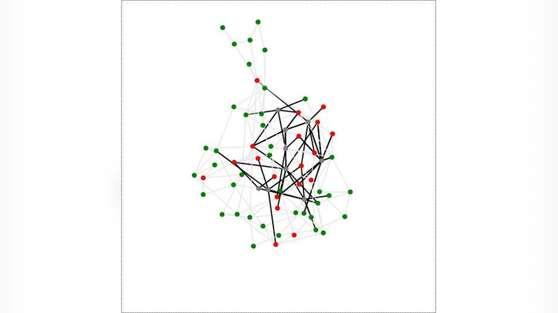 파이썬 Mesa 기반 종양 에이전트 모델 개발과 네트워크 분석