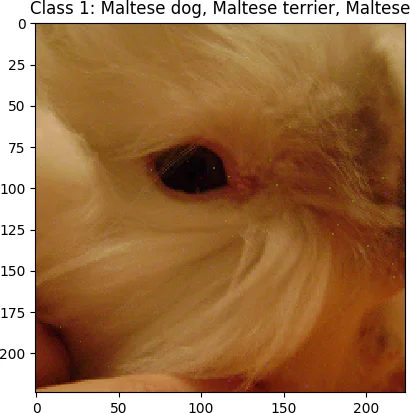 원자 중력계의 응답 함수와 시스템 해석