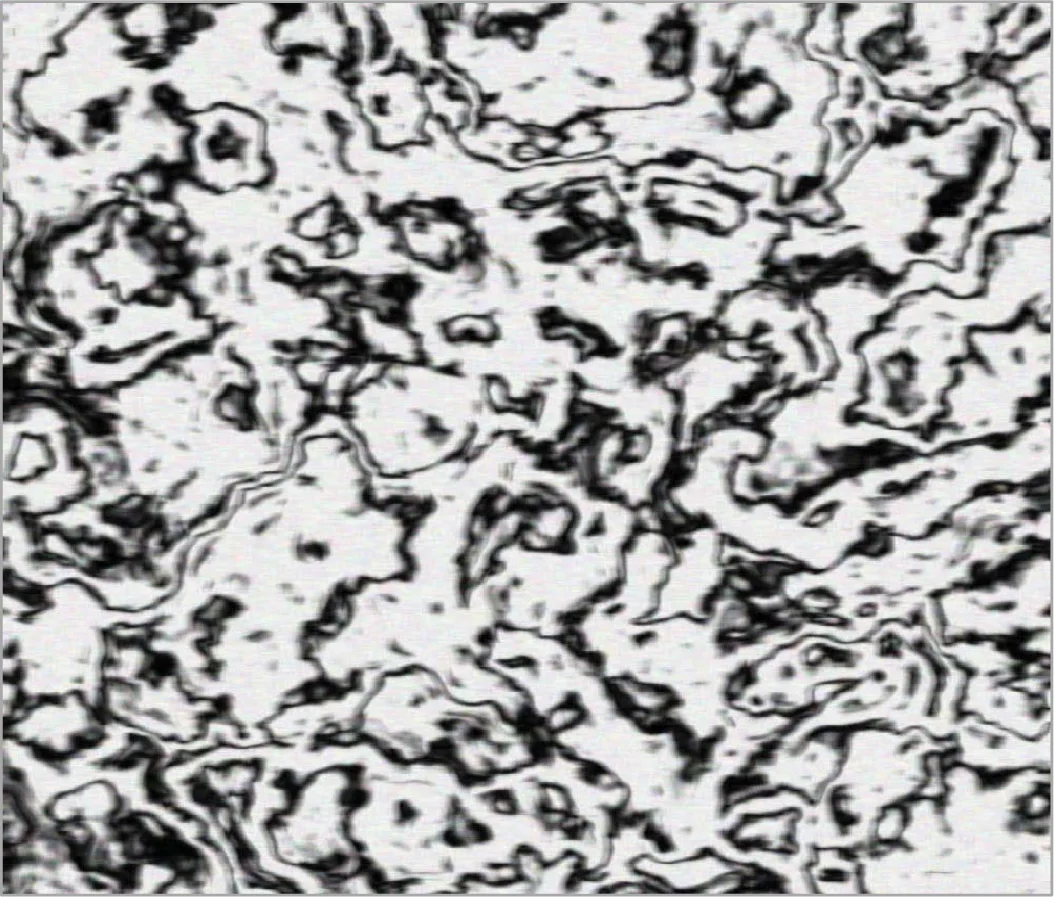 구조적 확률 모델링을 위한 케이스‑팩터 다이어그램