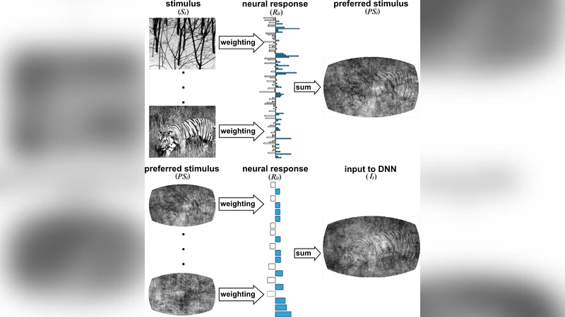 딥러닝으로 해석하는 마우스 시각피질 신경반응