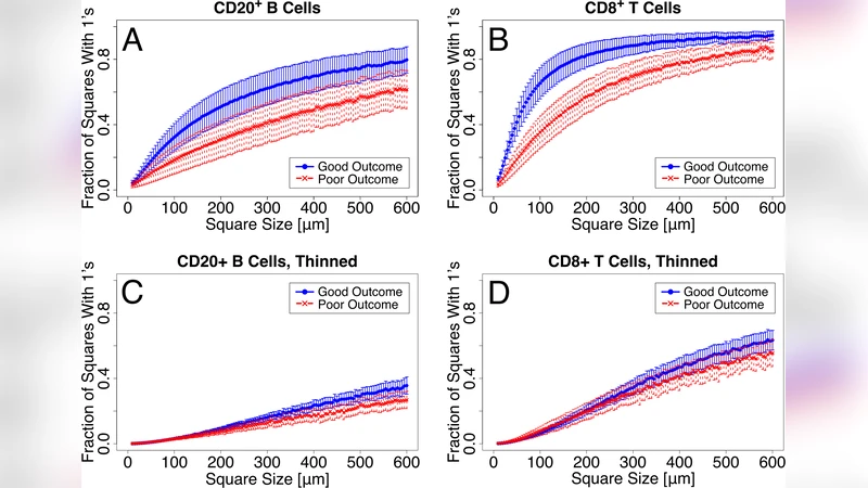 면역세포 공간분포와 유방암 재발 예측
