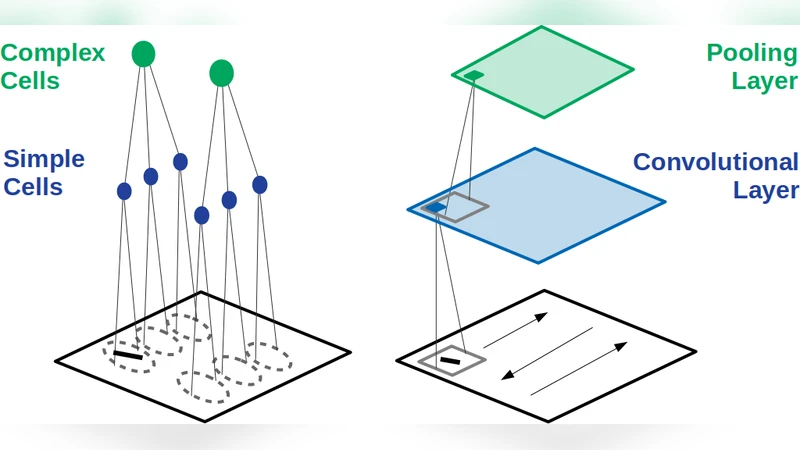CNN, 시각 시스템 모델링의 과거·현재·미래