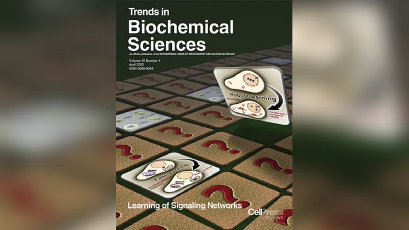 세포 학습 메커니즘 신호망 기억과 헵비안 원리