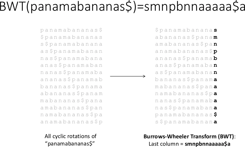 비정형 대칭 파괴 연산자의 완전 분류: de Sitter·Lorentz 주군의 주시리즈 표현