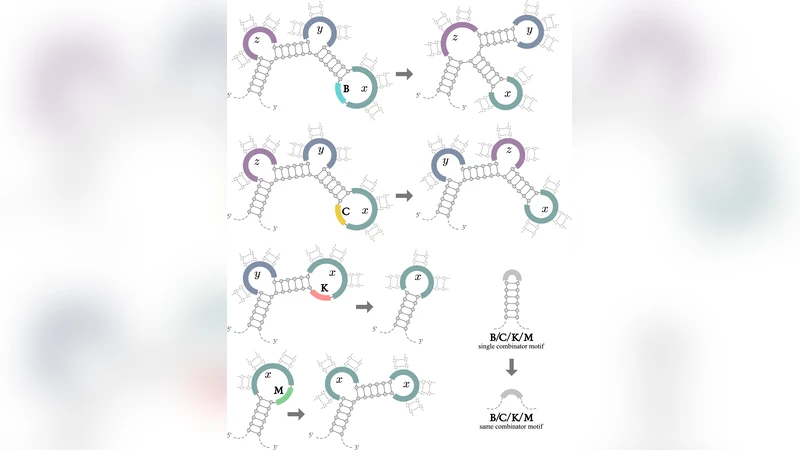 RNA 기반 보편적 계산 이론