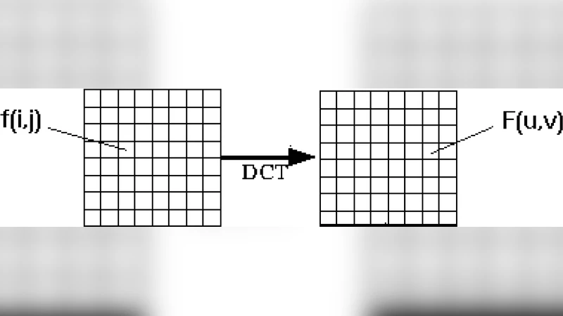 DCT 기반 전역·국부 특징 융합 얼굴인식