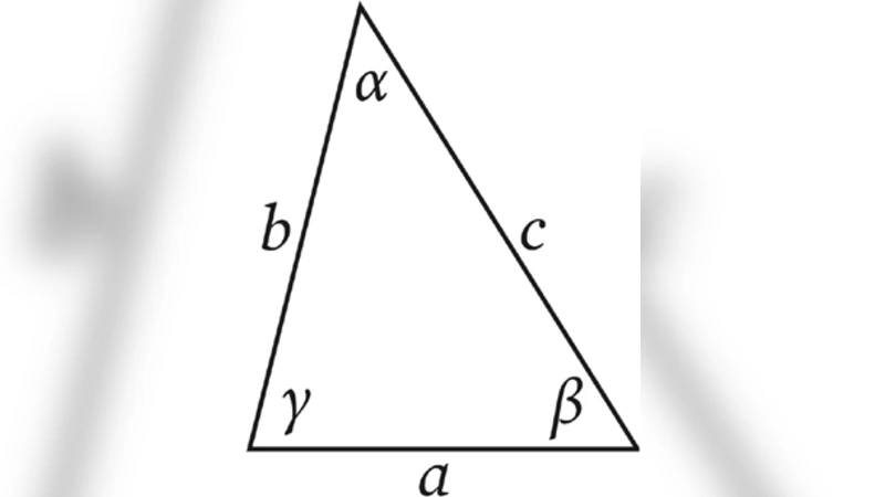 AI 요약이 검색 결과에 미치는 여론 형성 효과
