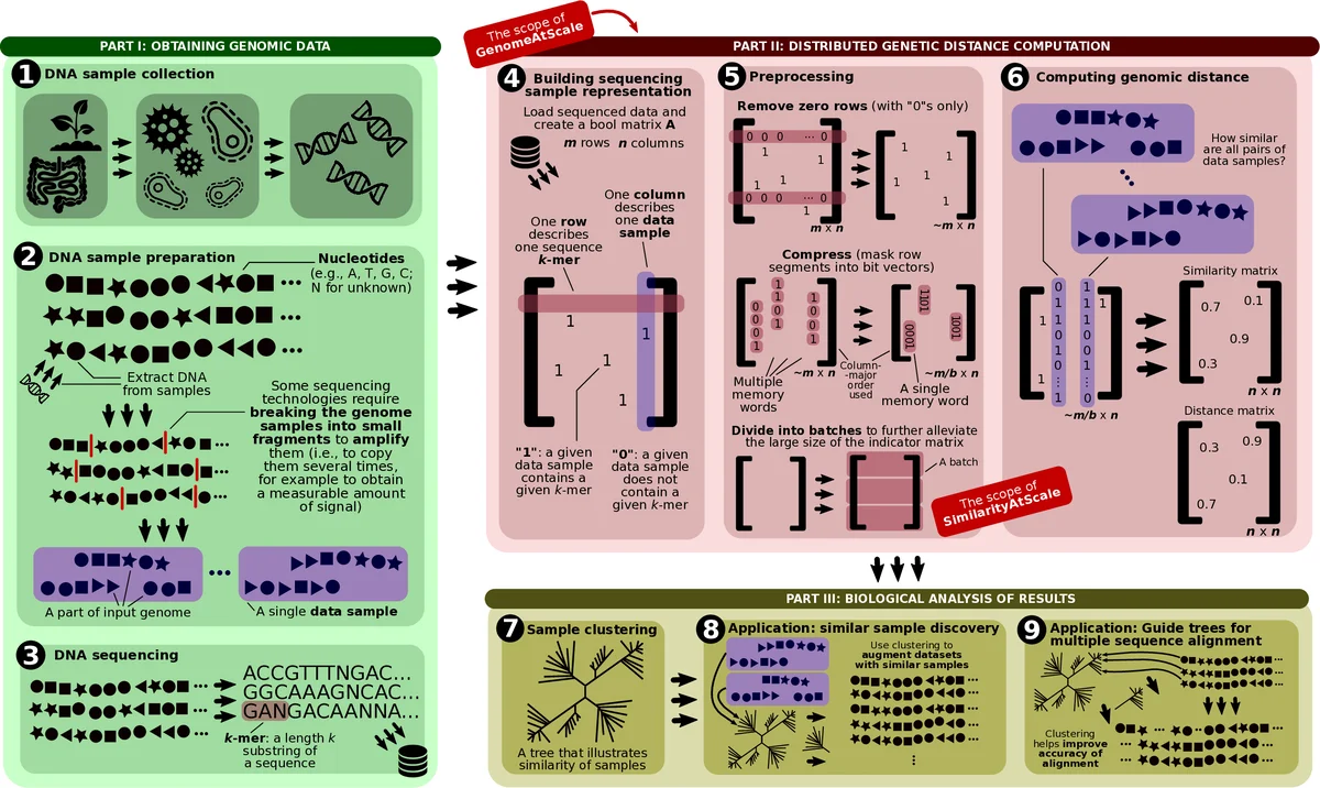 대규모 분산 유전체 비교를 위한 통신 효율적인 자카드 유사도 계산