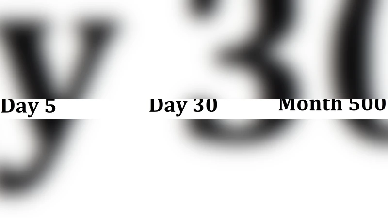 즉시 부하 치과 임플란트의 조직 치유와 골 재형성 상호작용