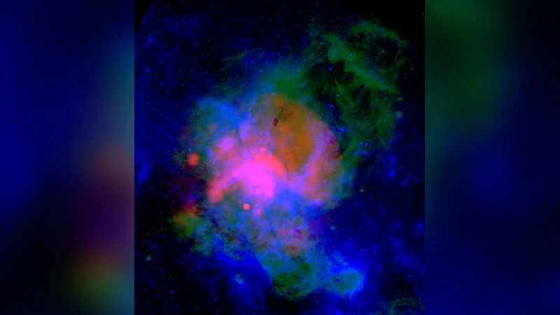 카르디나 별 형성 구역 X선 조사