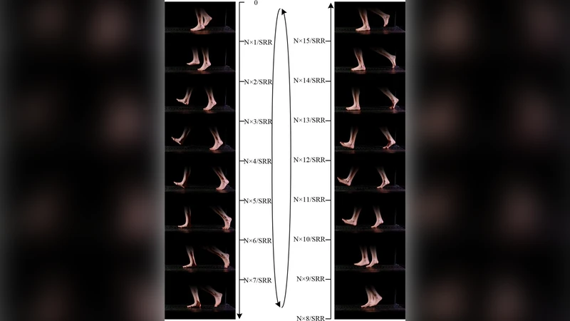 보행 영상 자극을 이용한 동시 SSMVEP·SMR 유도 하이브리드 BCI