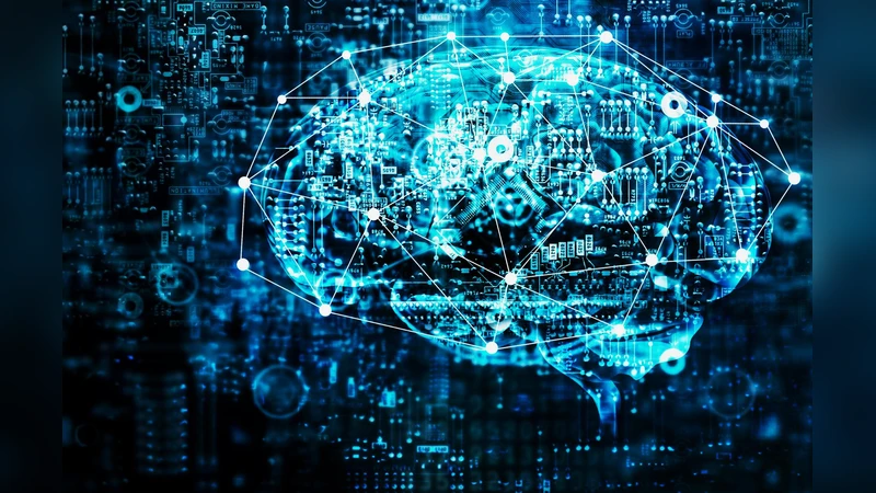 AI 요약이 검색 결과에 미치는 여론 형성 효과