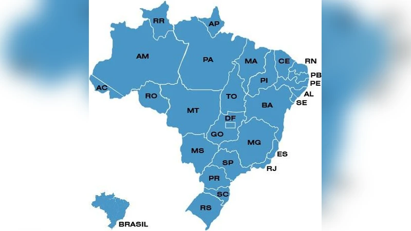 브라질이 세계 곡물 시장에 미친 충격: 변동성 전이와 흐름의 전환