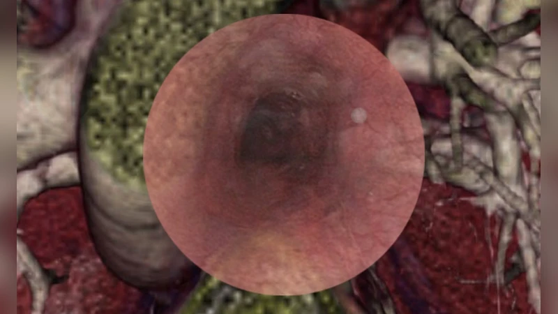 증강현실 기반 수술 내비게이션 시스템의 최신 동향과 임상 적용
