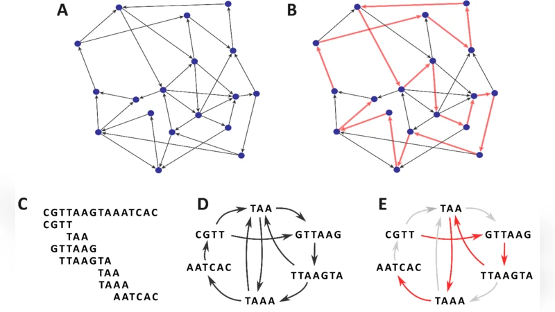 컴퓨팅 생물학의 알고리즘 복잡성 기본과 도전 그리고 한계
