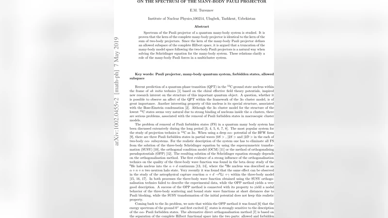 다체계 파울리 투사체 스펙트럼과 모델 공간 축소