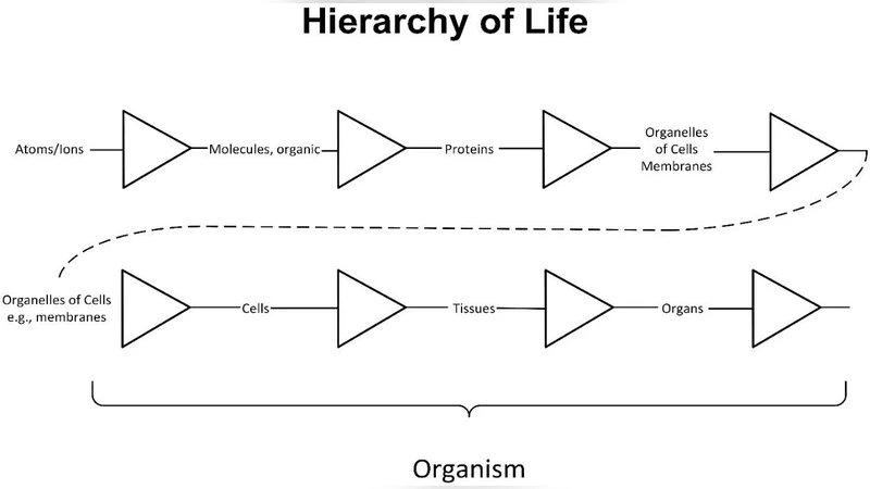 생물학적 질문을 물리 시스템에 적용하는 장치 접근법