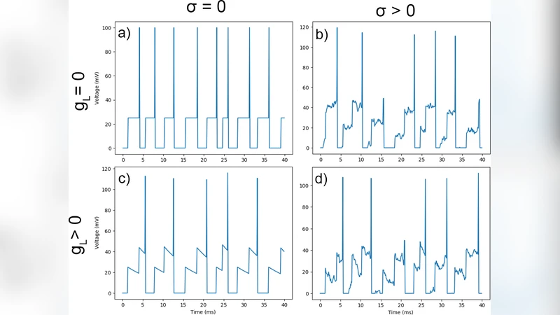 스파이킹 신경망의 잡음과 견고성