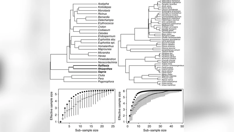 계통수 기반 비교 데이터의 계층적 자기상관 분석