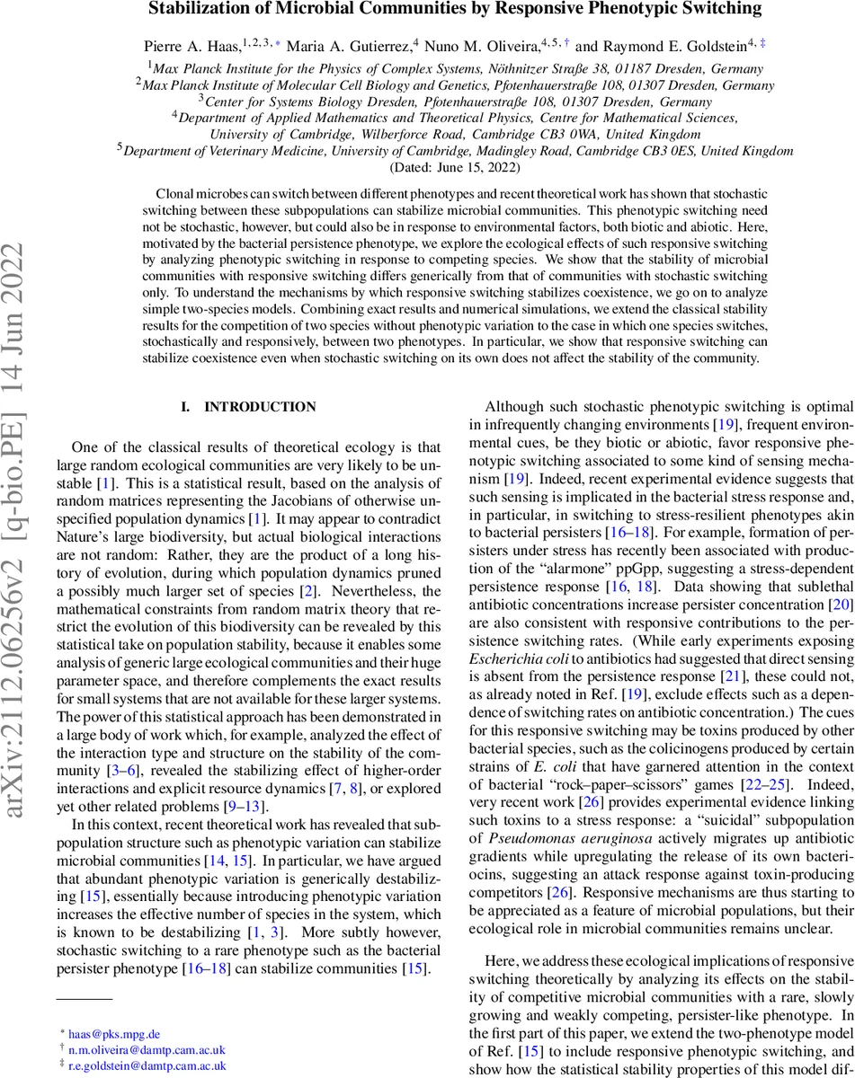 B 메존 분포 진폭 규명: B→π, K, D 전이 형태인자 분석을 통한 접근