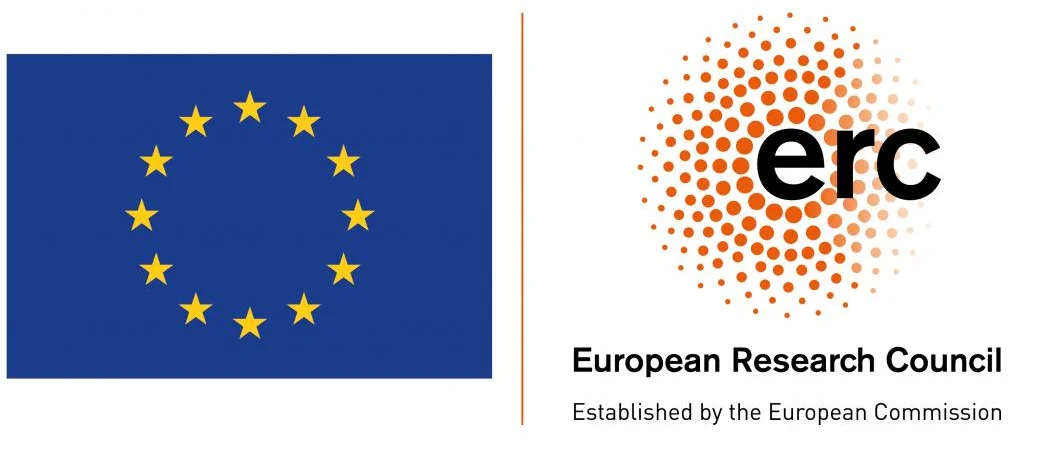초과선형 선호 연결이 만든 가짜 스케일프리 네트워크: 전이전 단계의 비밀