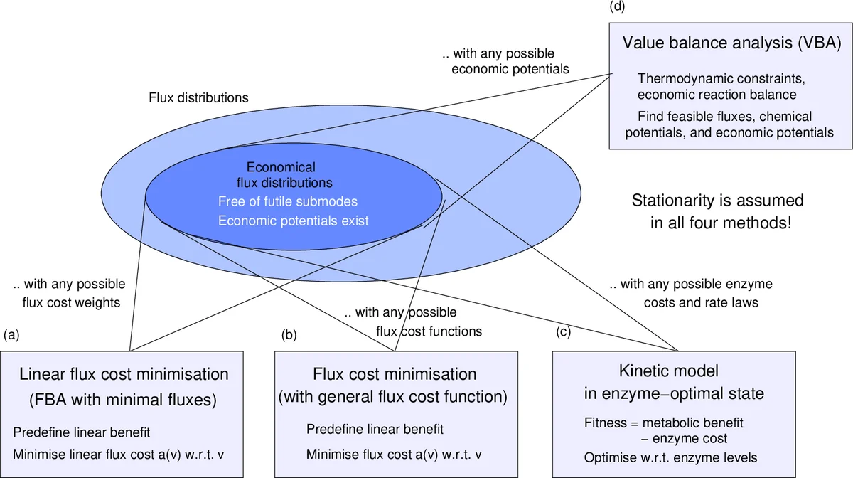 대사 흐름의 경제성 가치 균형 분석