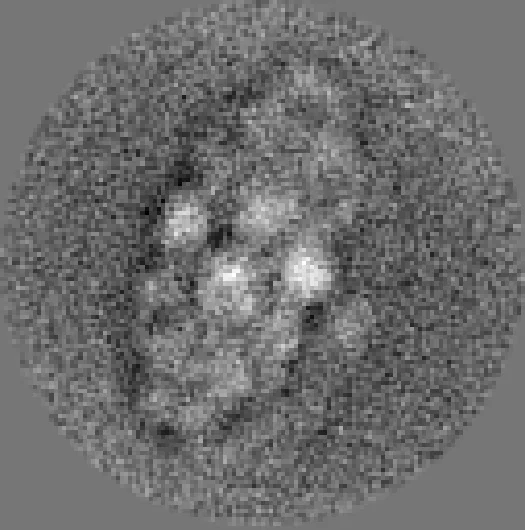 D2 대칭 분자 공동선 초기 재구성