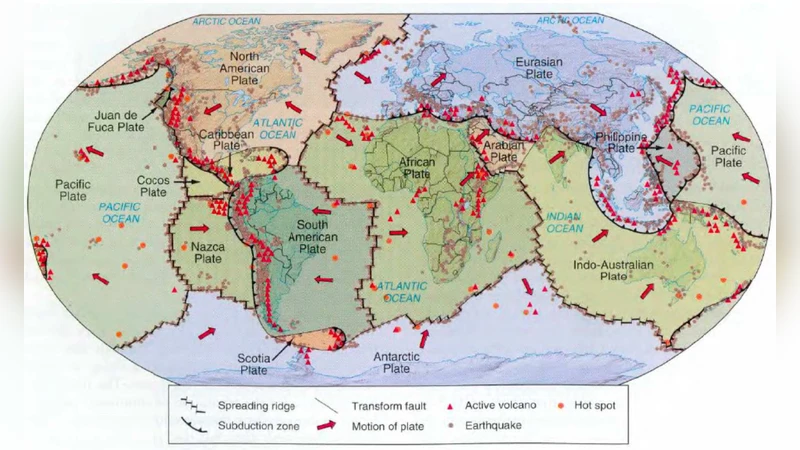 예측의 새로운 지평