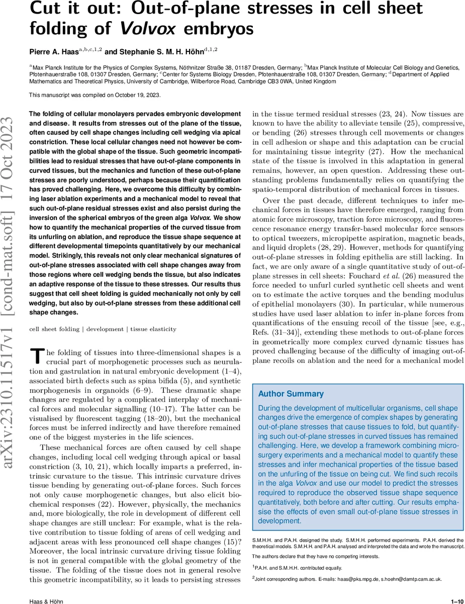 순위별 제트 분포, 고에너지 QCD의 새로운 창