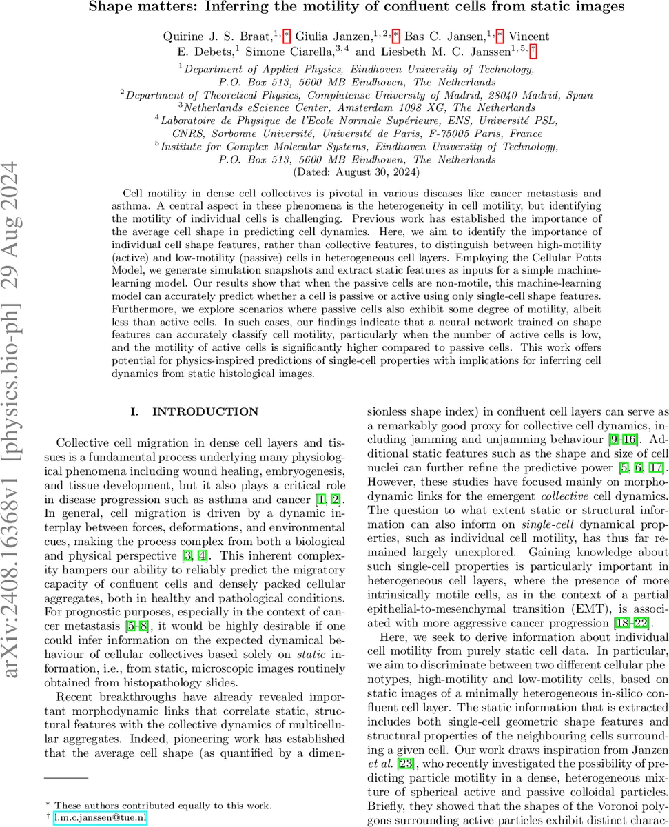 정적인 이미지로 세포 움직임 예측: 형태가 말한다