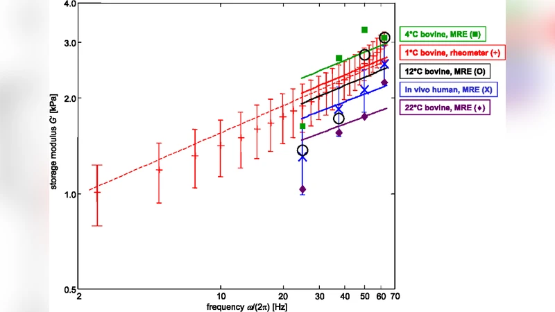 연부 조직 전단파를 위한 최적 레오모델 분수 미분 모델의 우위