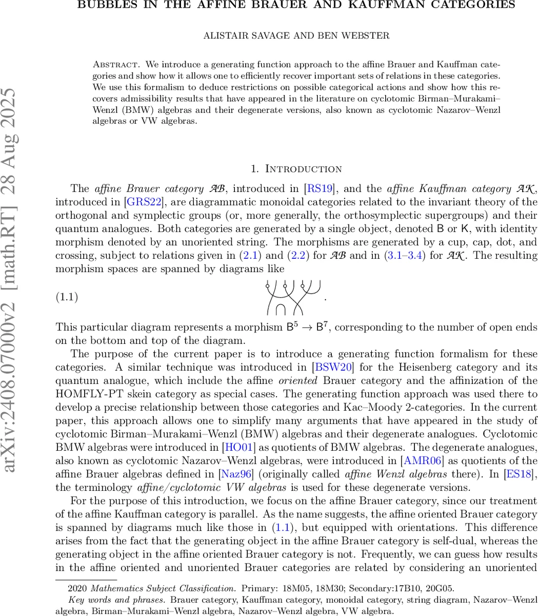 아핀 브라유와 카우프만 범주에서의 거품과 생성함수 접근법