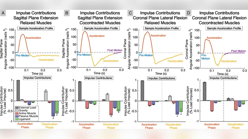 목뼈 인대가 머리 충격 시 안정성을 제공한다